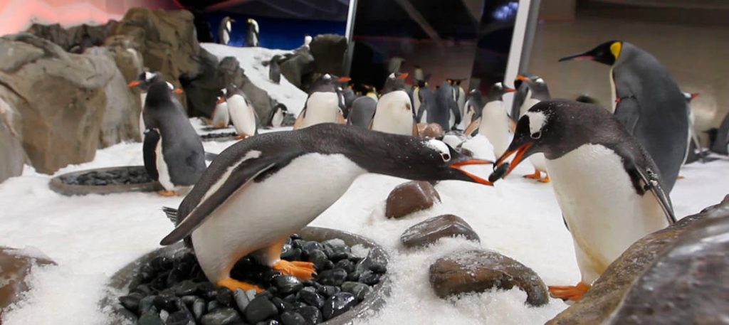 Melbourne Aquarium